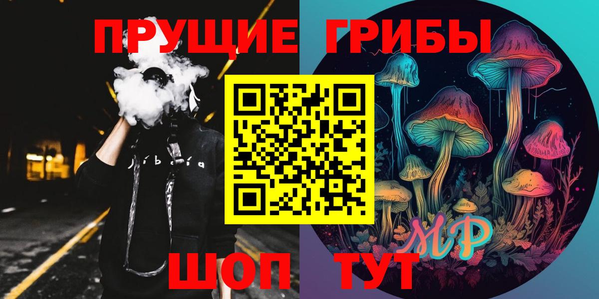 Псилоцибиновые грибы Psilocybe Ртищево